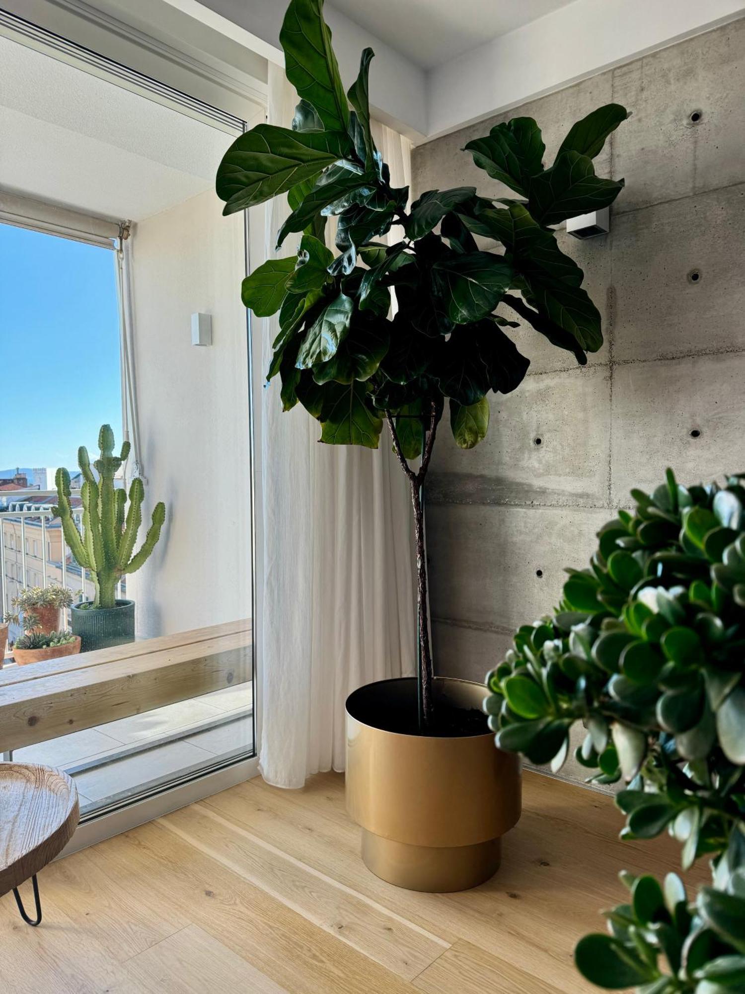 Appartamento D'Art Penthouse Spalato Esterno foto